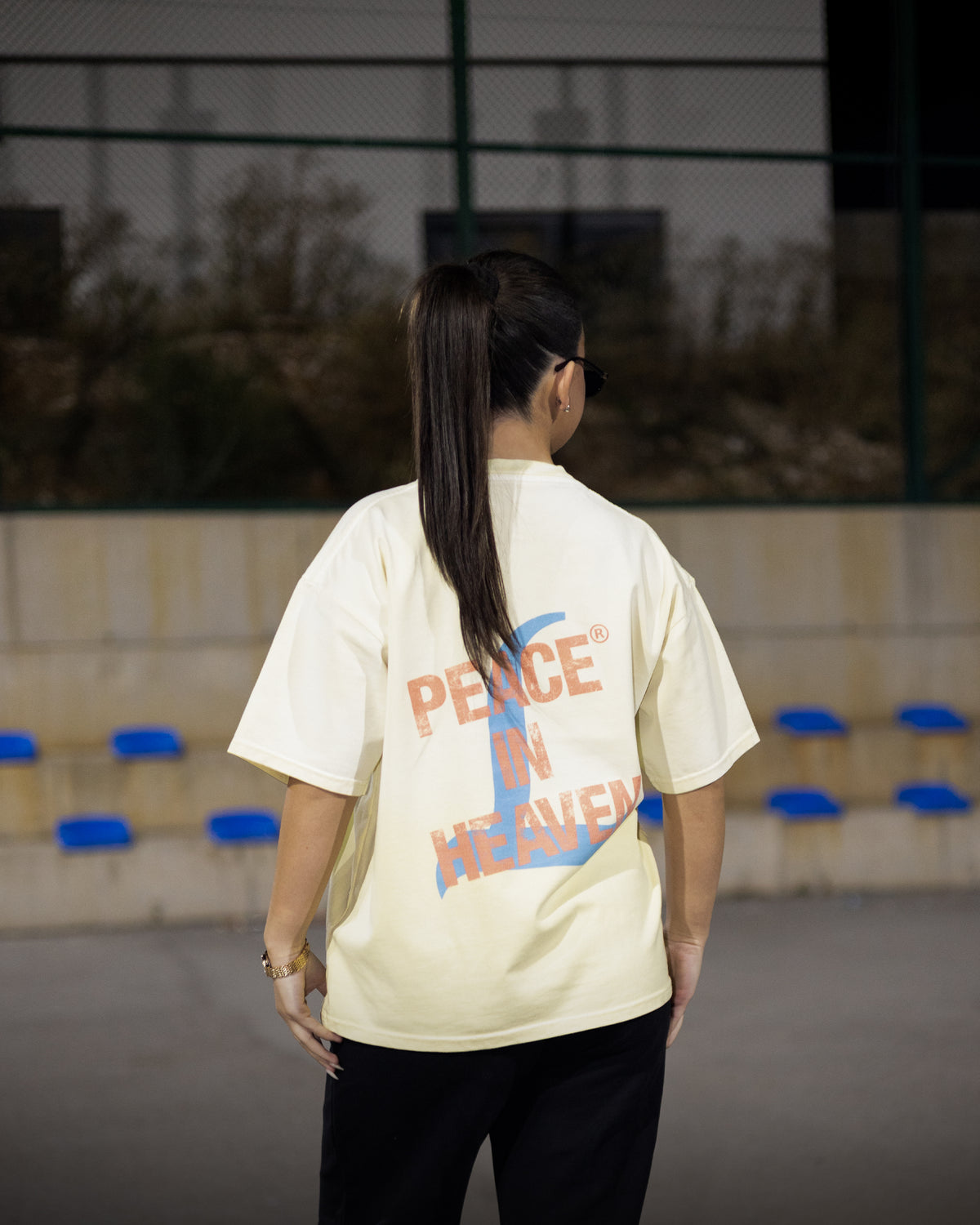 ASCEND T-SHIRT